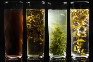 Four tea varieties cold-brewing