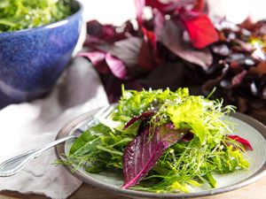 Roman-inspired mixed green salad