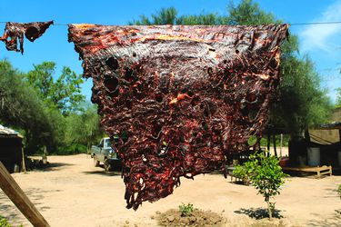 Beef 'pulpa' being hung to dry under the intense summer sun to make charqui
