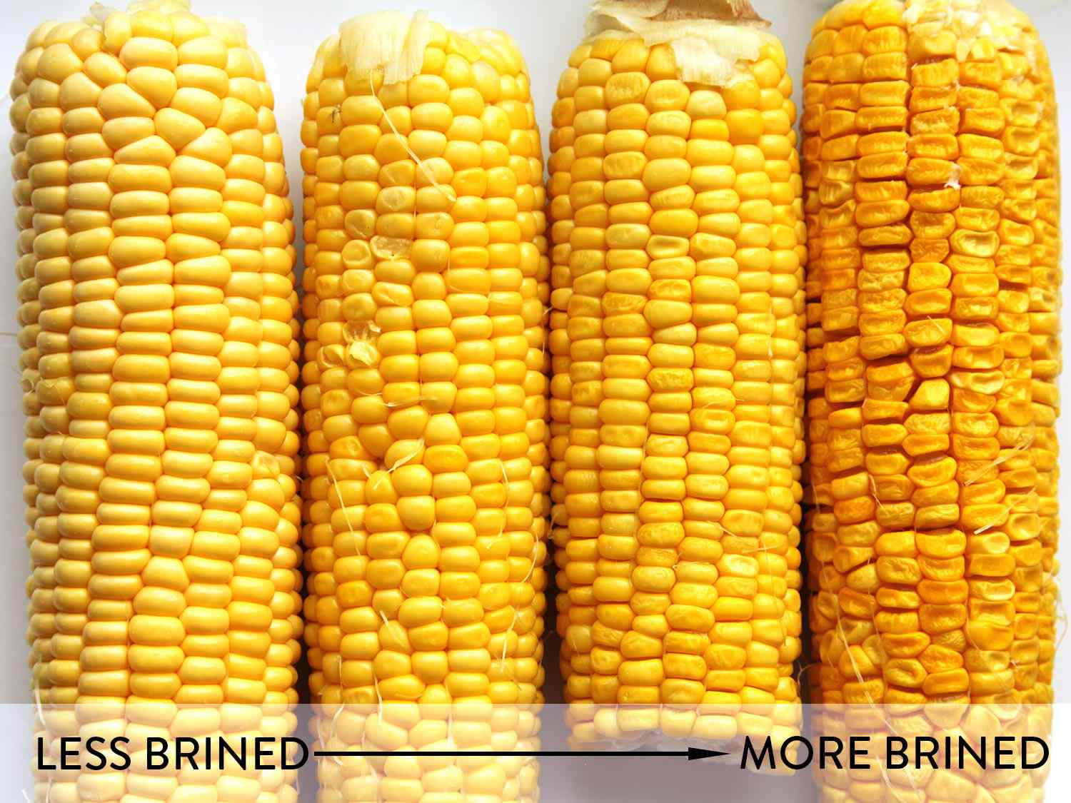玉米棒上的玉米从左到右排列，从少盐水到多盐水不等