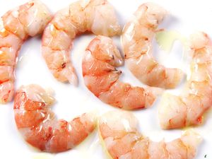 20161204-sous-vide-shrimp-22-plain.jpg